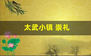 太武小镇 崇礼